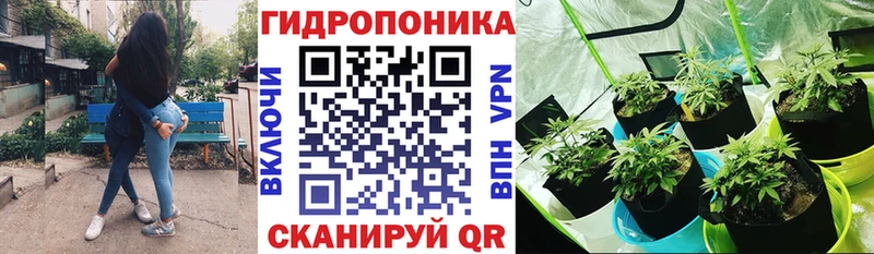 Как найти закладки Зеленоградск COCAIN  Канабис  МЕФ  Гашиш 