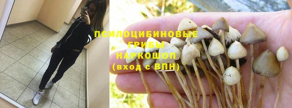 трава Белая Холуница
