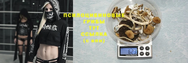 a pvp Бежецк