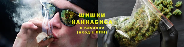 трава Белая Холуница