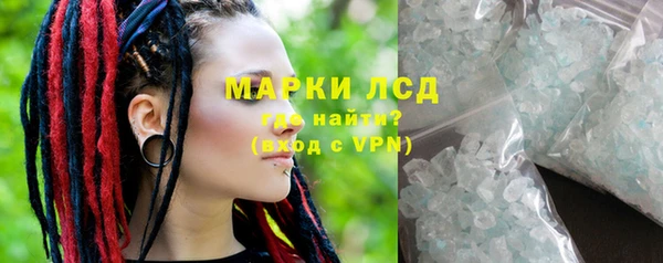 трава Белая Холуница